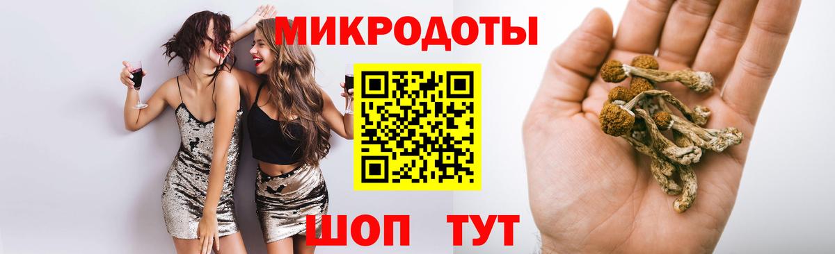 Галлюциногенные грибы Psilocybe  Вход с VPN  Анапа  Галлюциногенные грибы мицелий 